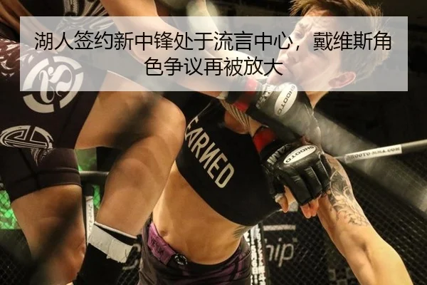 湖人签约新中锋处于流言中心，戴维斯角色争议再被放大